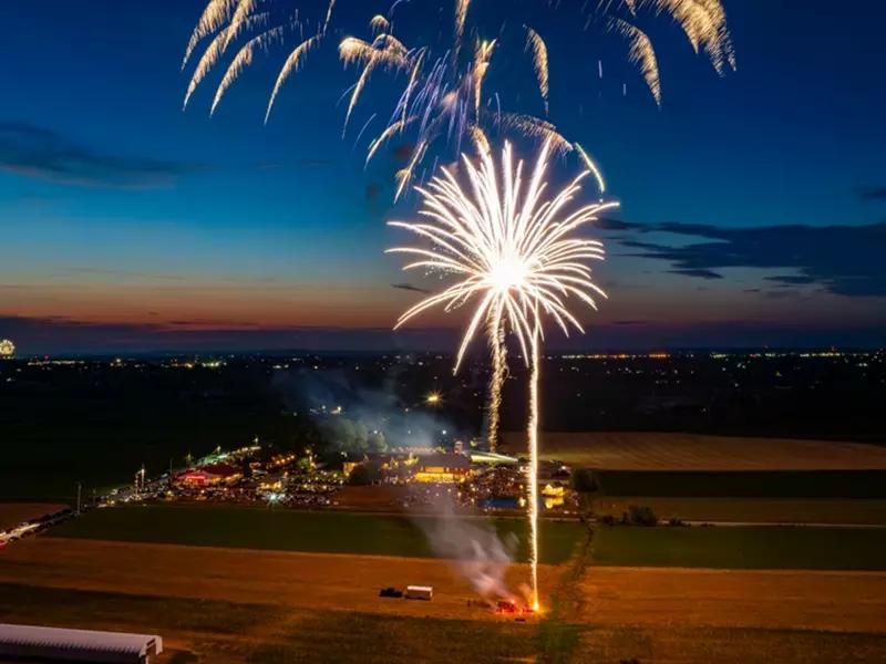 farm-animals-and-fireworks