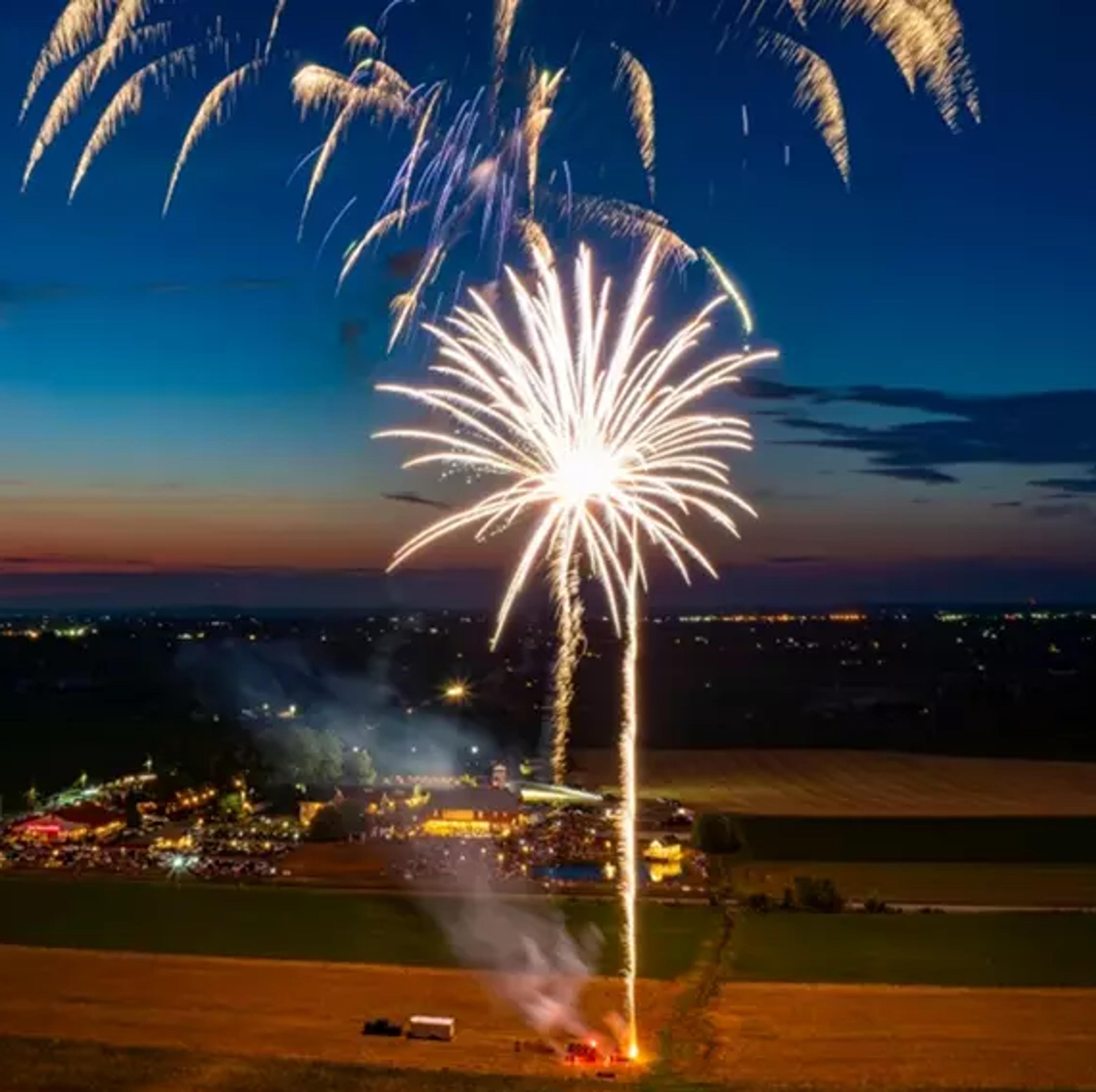 farm-animals-and-fireworks