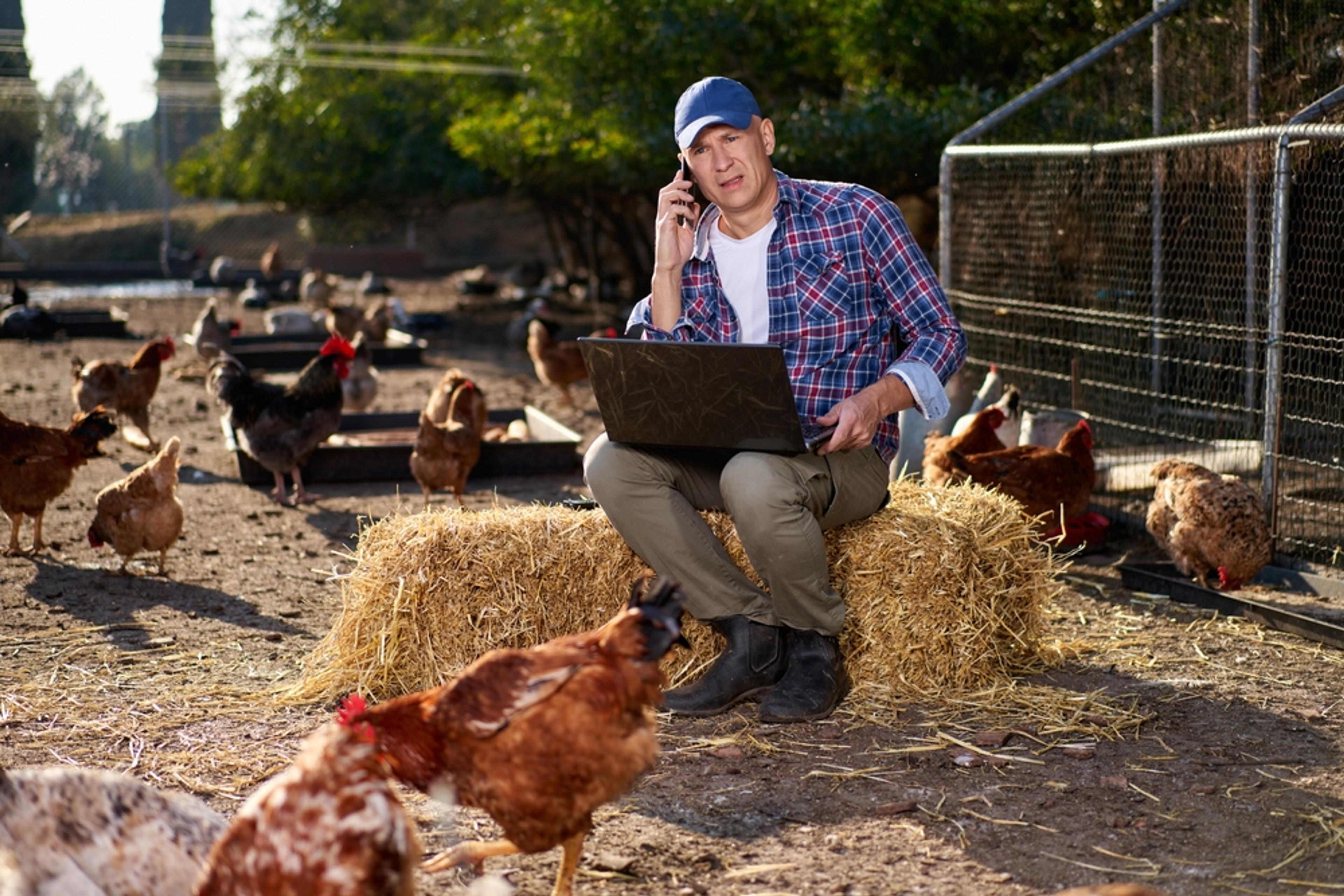 Logging in to the RSPCA Assured members' portal