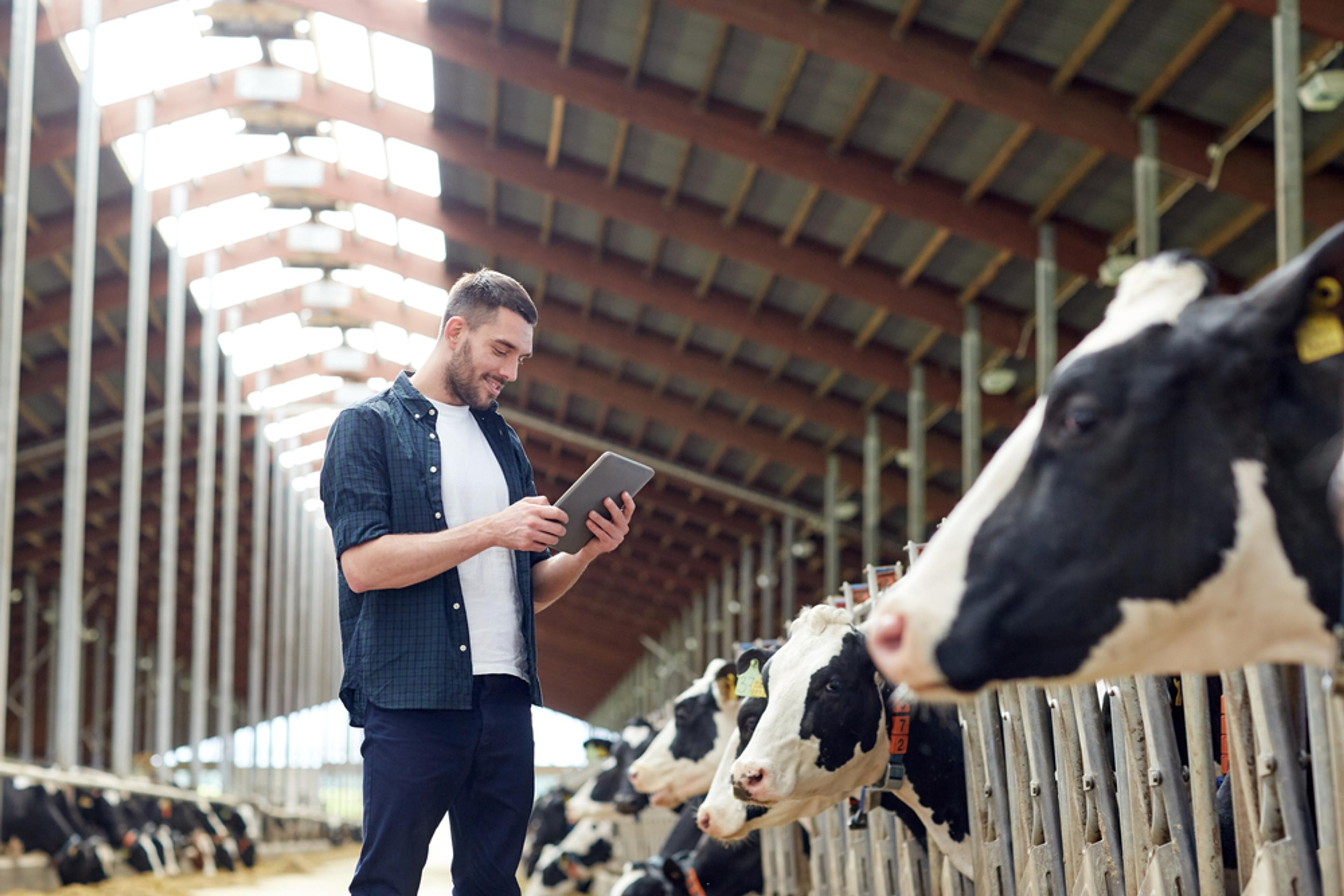 Logging in to the RSPCA Assured members' portal