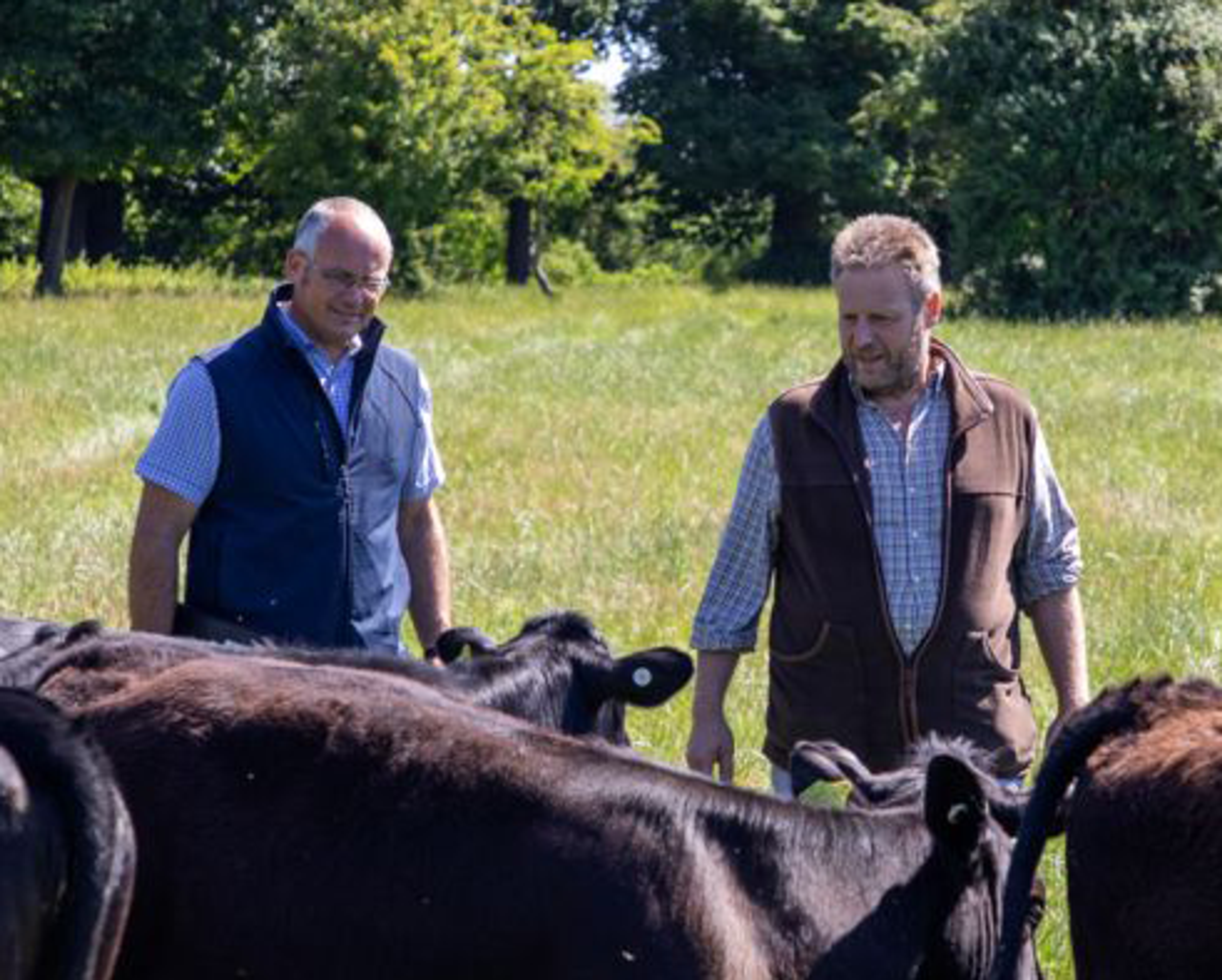 RSPCA Assured assessor and farmer on a cattle farm