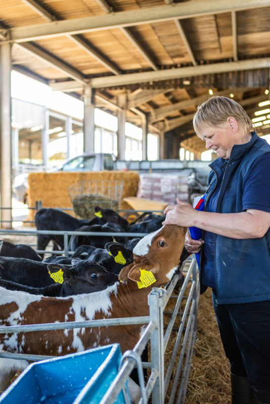 Assessor with cows inside