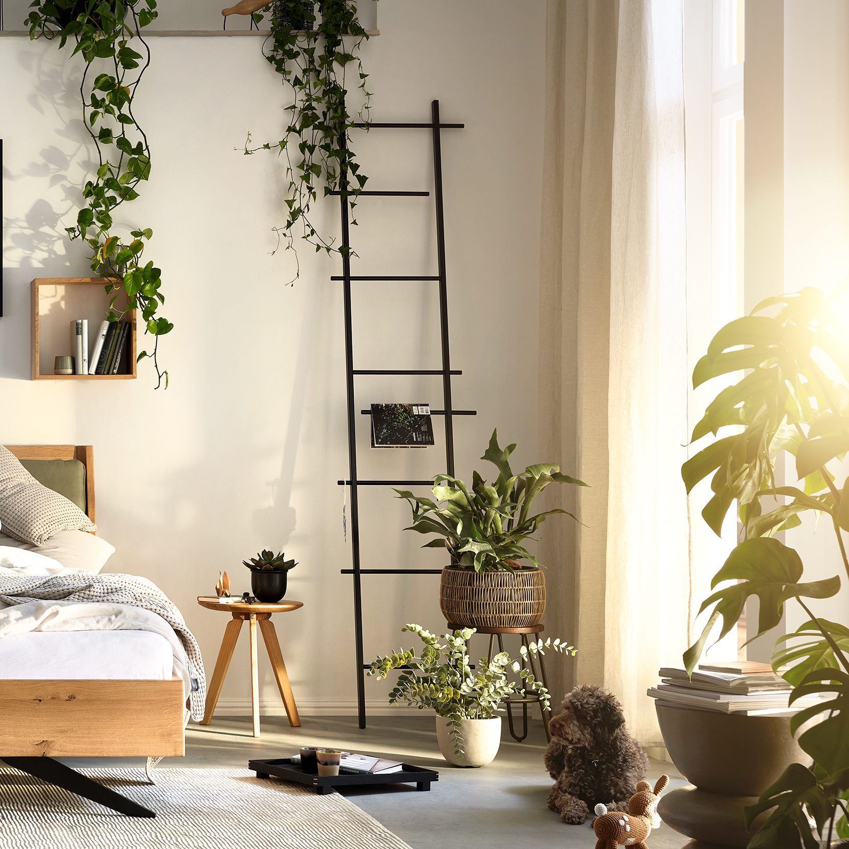 Ada Kampagnenshooting 2024