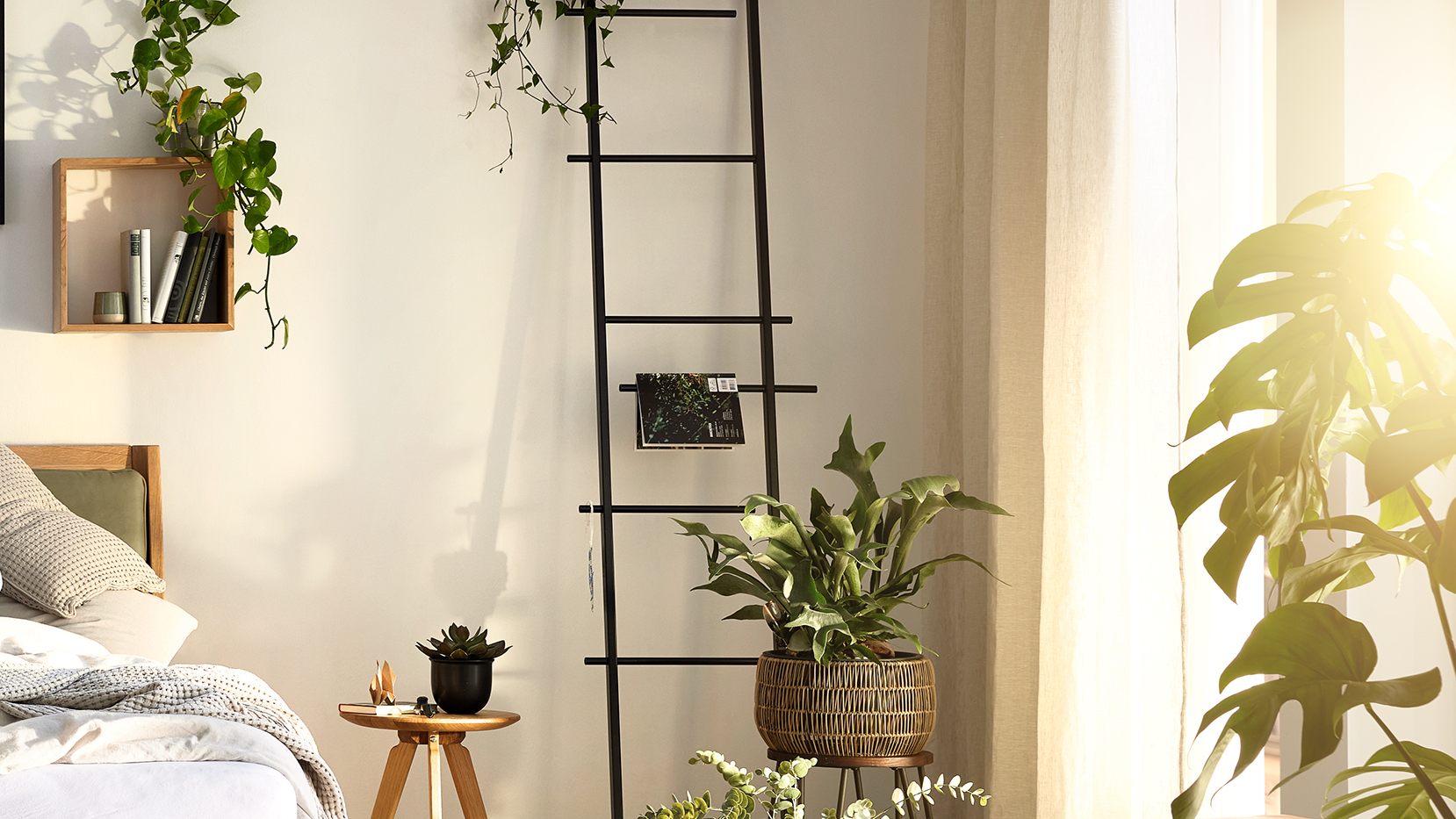 Ada Kampagnenshooting 2024