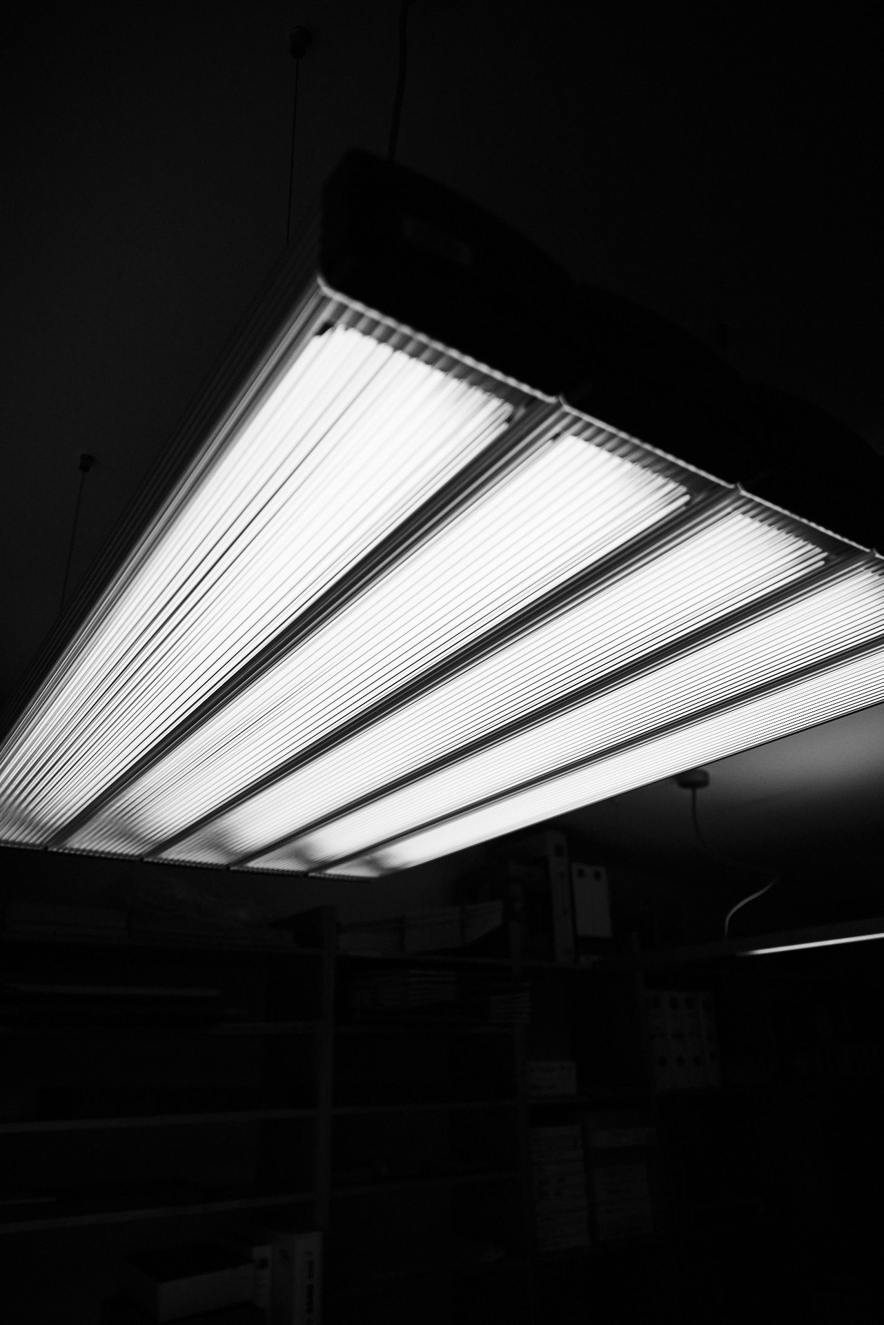 Normlicht Postproduction