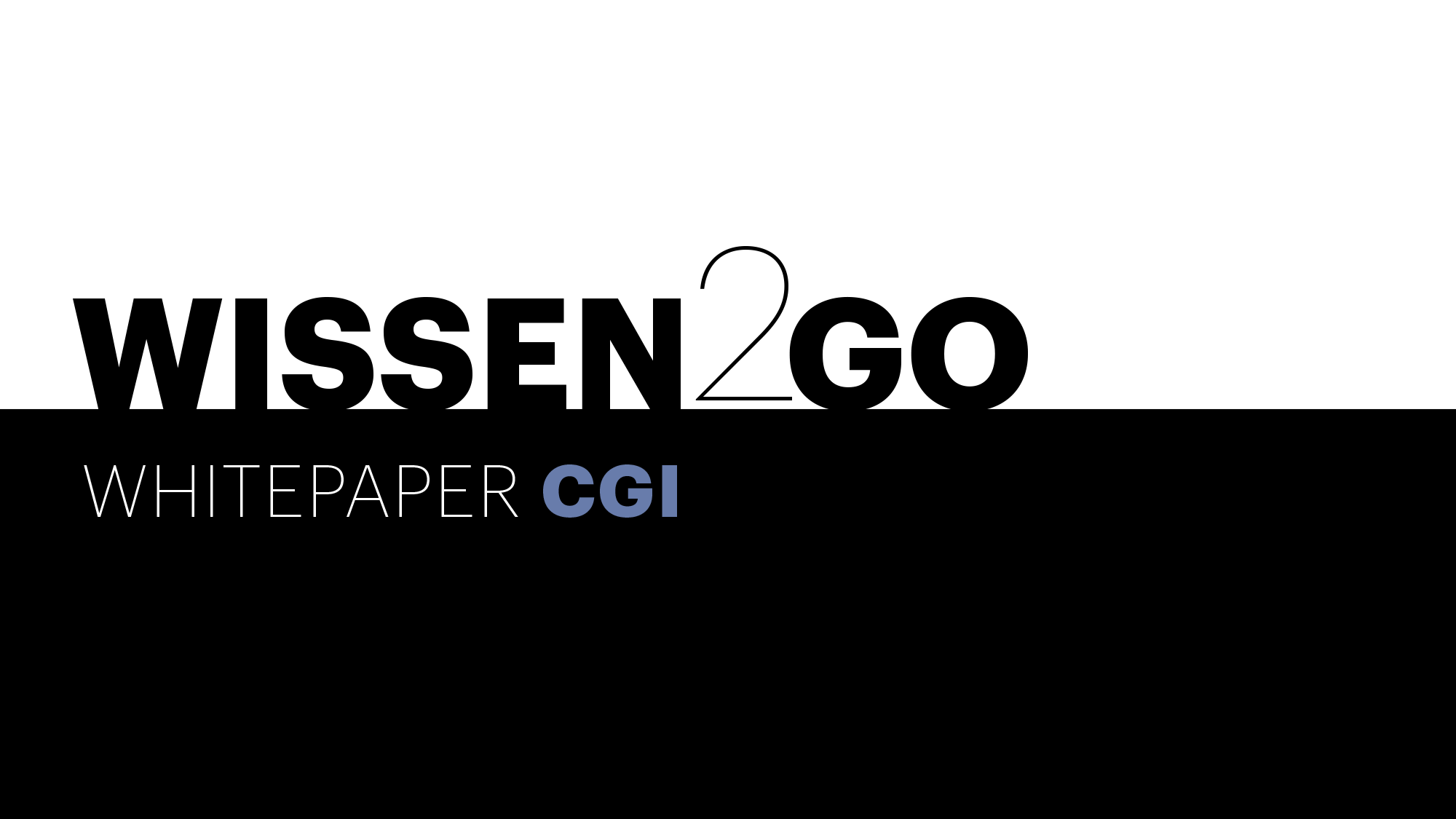 Mockup Whitepaper CGI Wissen2go