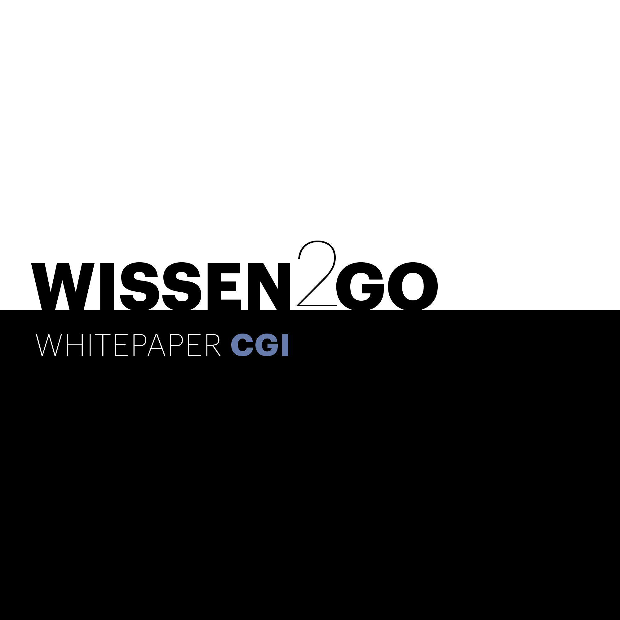 Mockup Whitepaper CGI Wissen2go
