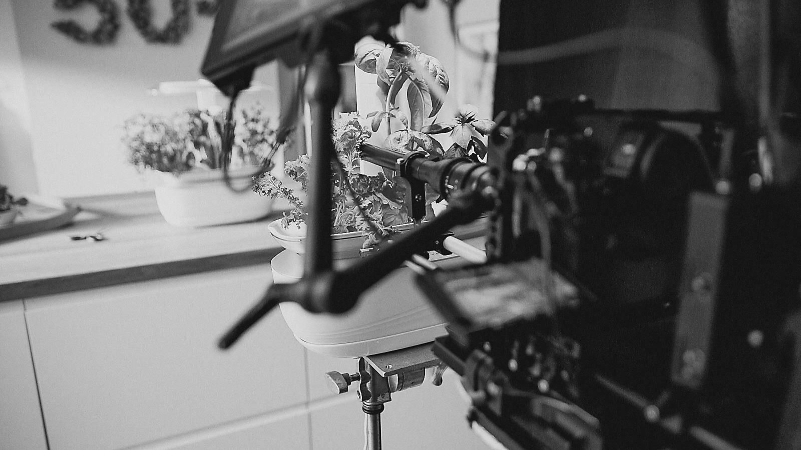 Smart Grow Bosch Behind the Scenes