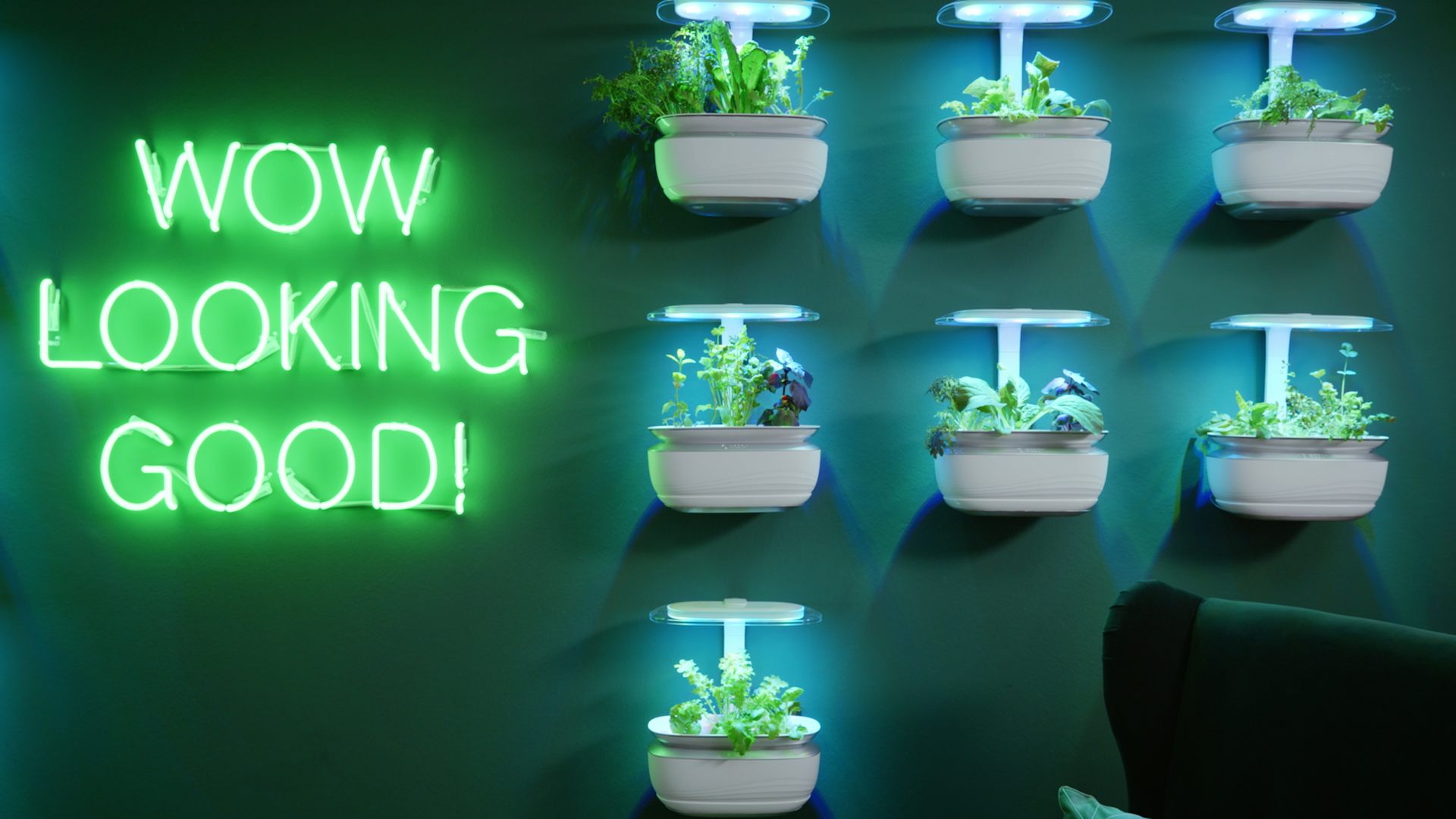 BOSCH HAUSHALTSGERÄTE SmartGrow Life