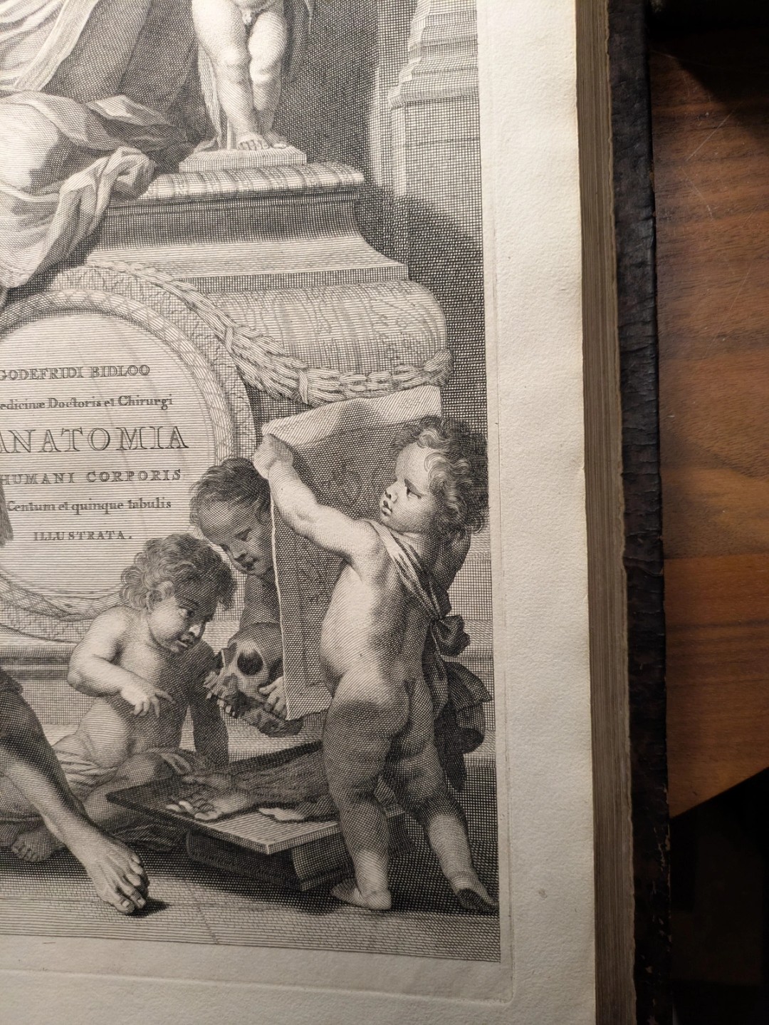Bidloo, 1685