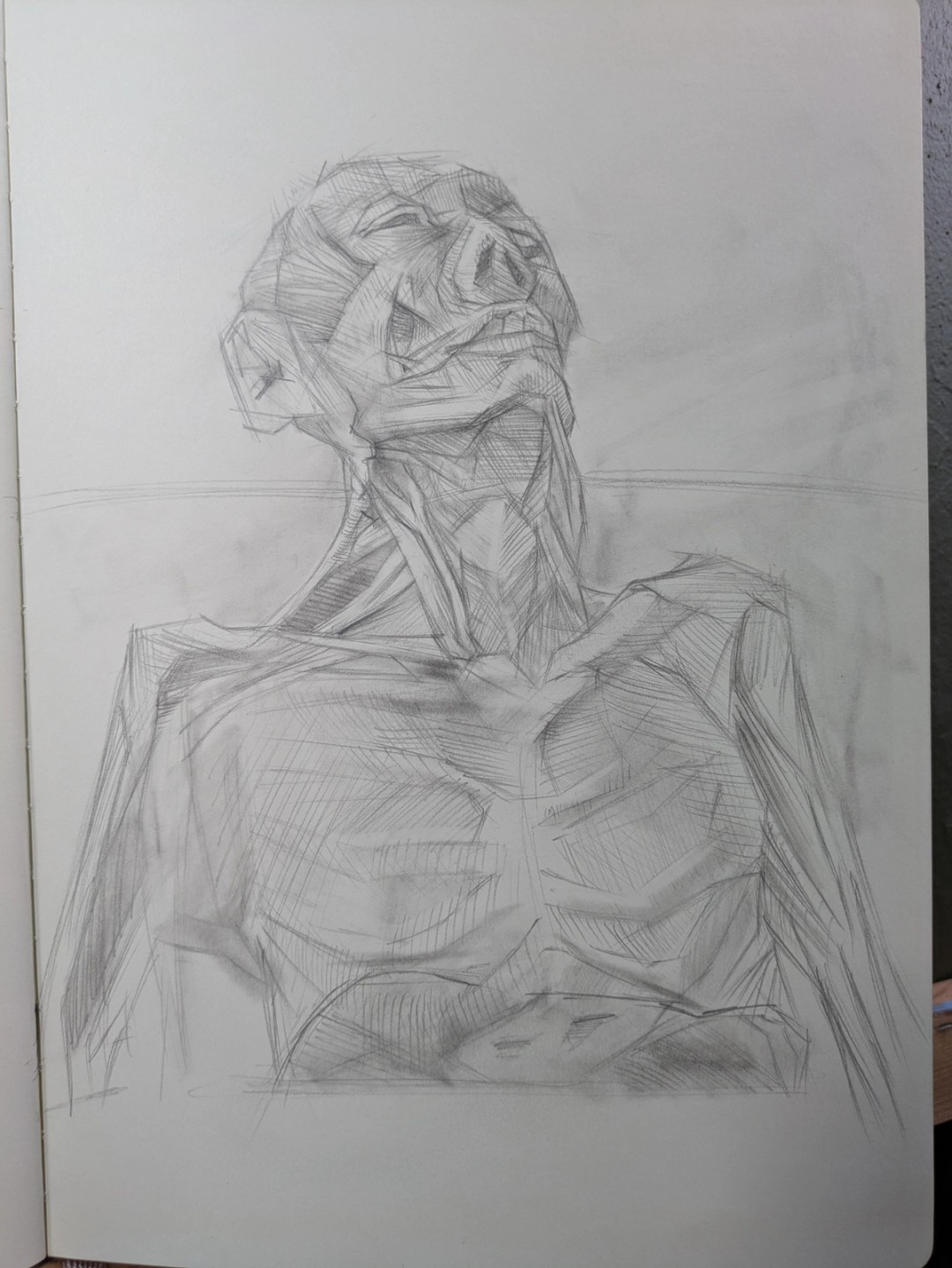 A sketch of a cadaver. Skinned and cut at the lower torso