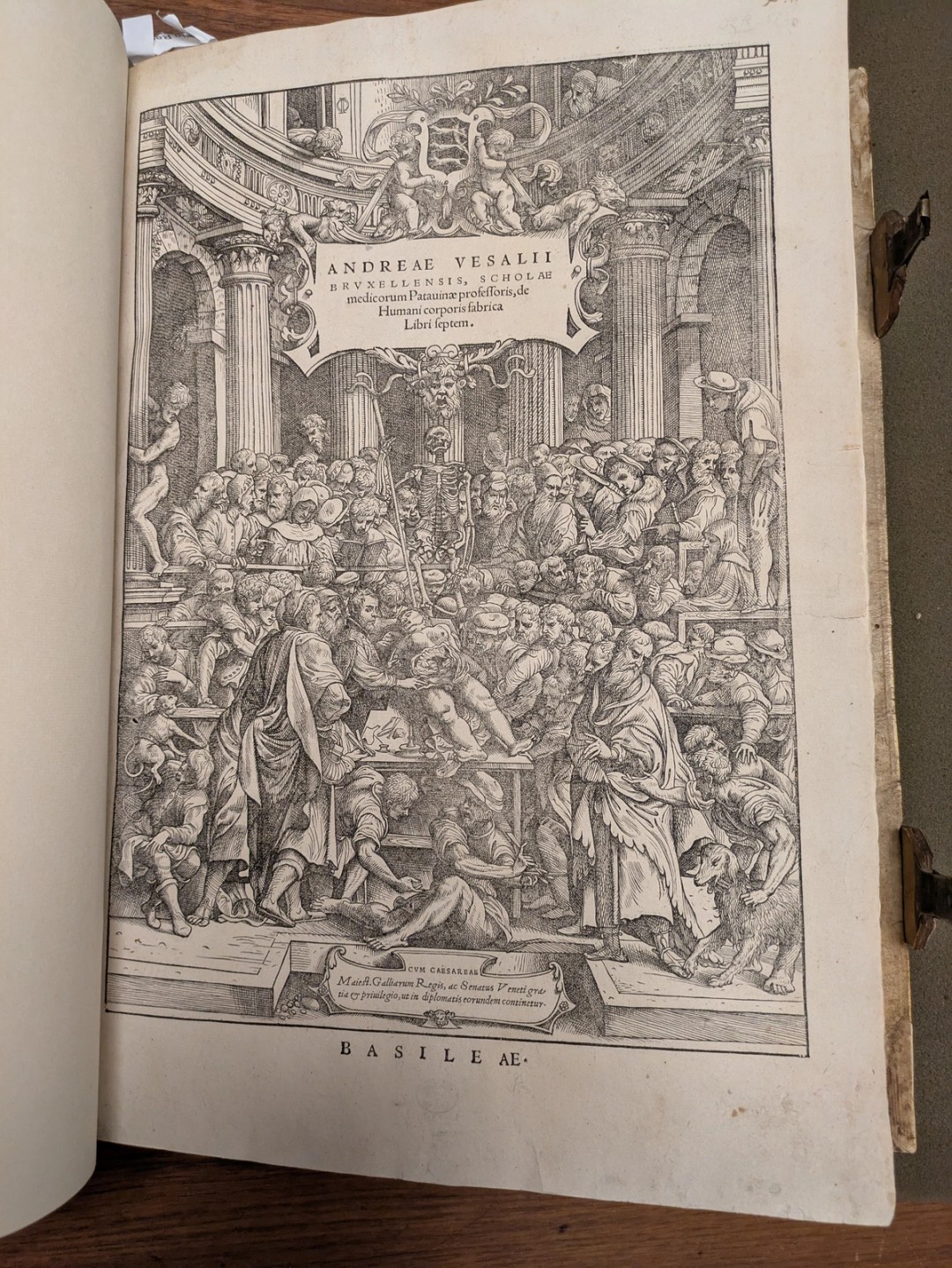 Vesalius, 1543