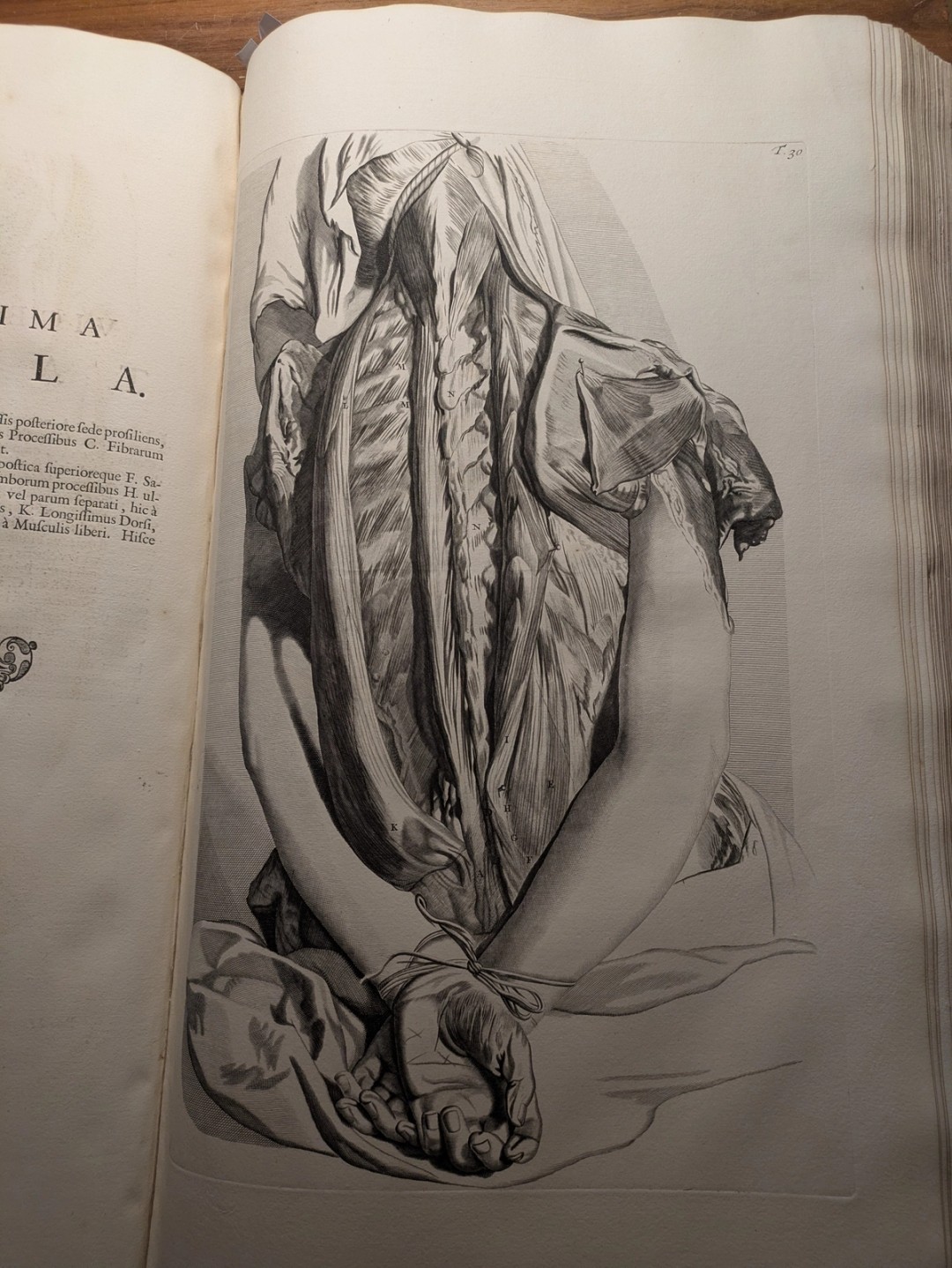 Bidloo, 1685