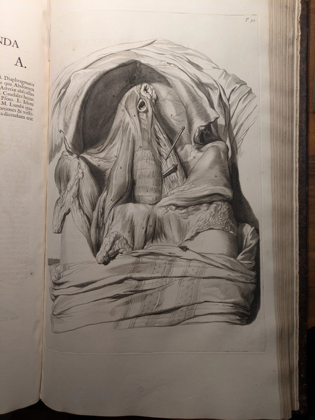 Bidloo, 1685