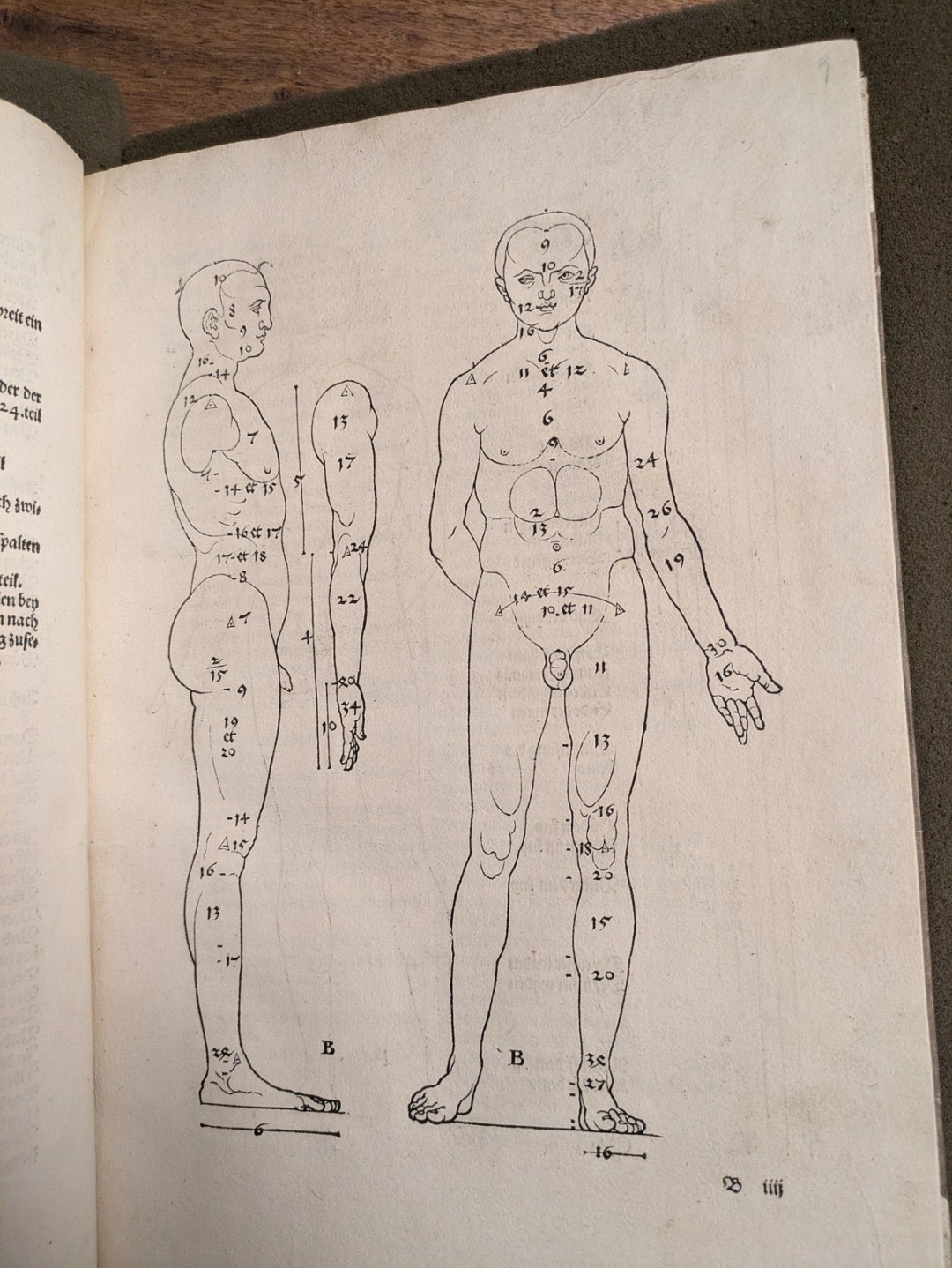 Figure from Durer