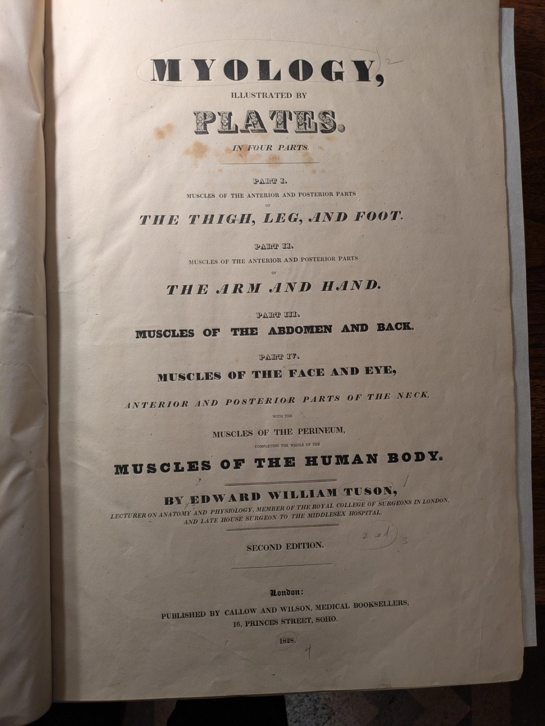 Tuson, 1828