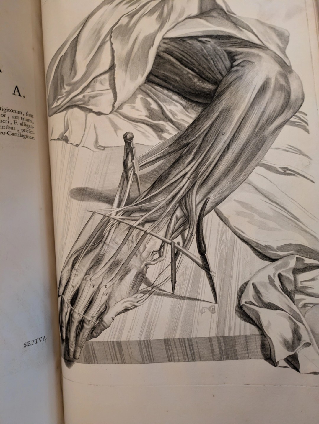 Bidloo, 1685