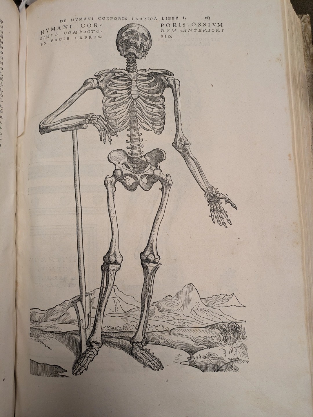 Vesalius, 1543