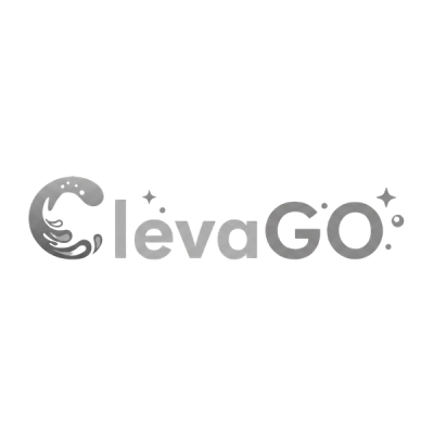 Clevago - Route Optimization and IS Design