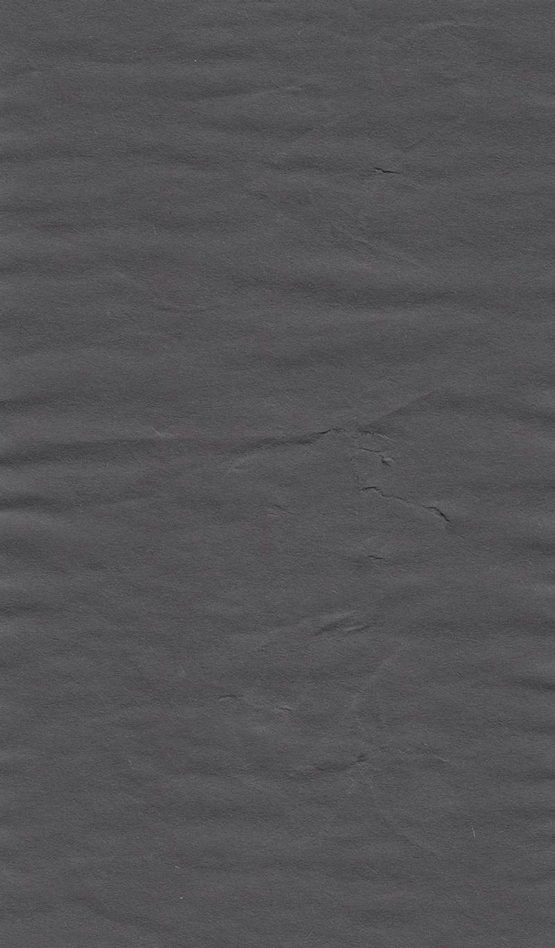Preview of the Black paper 02 texture scans
