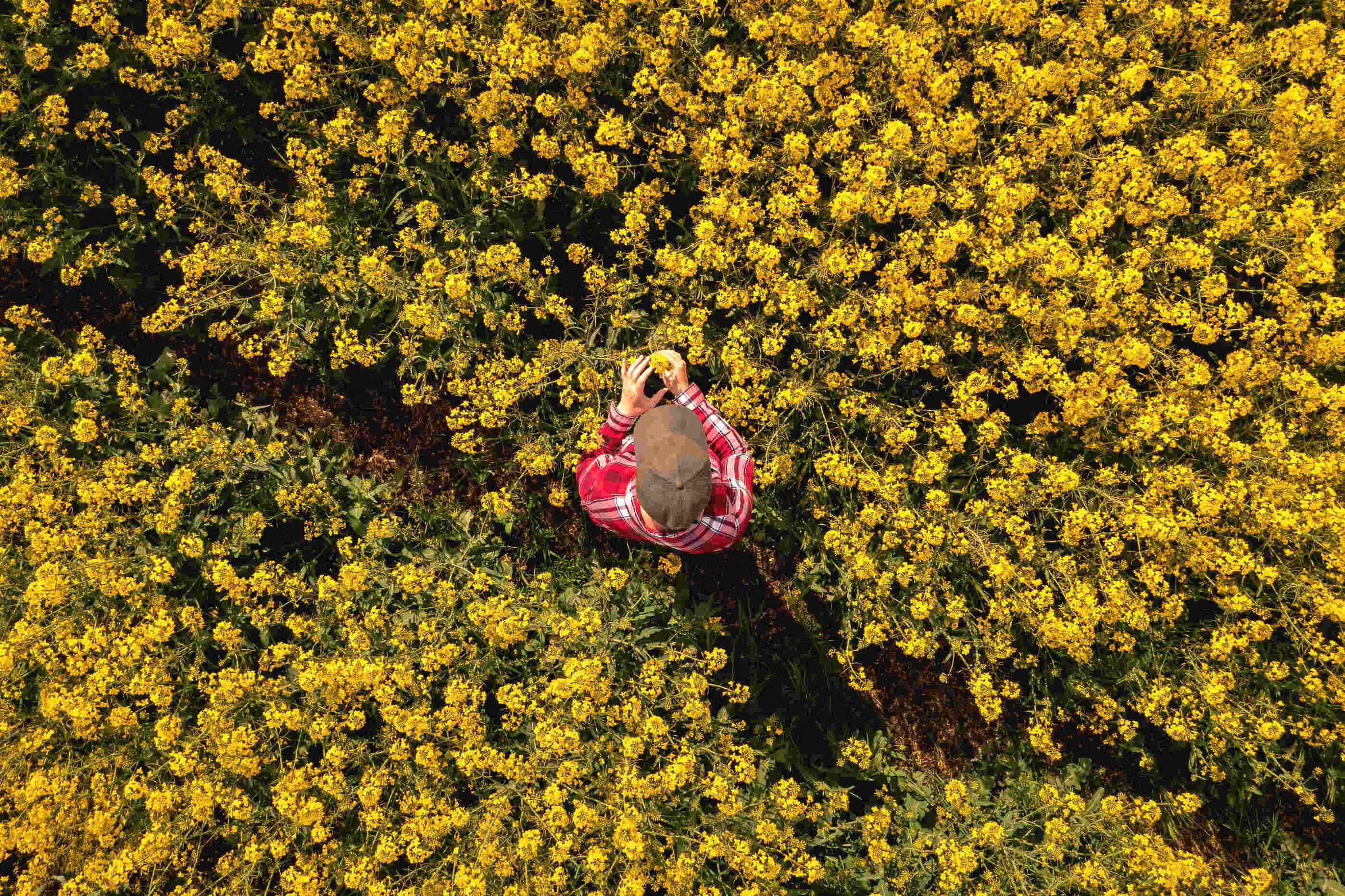 A man standing in a field