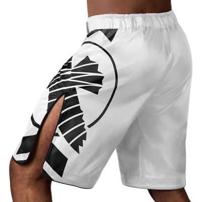 Hayabusa Icon MMA Shorts - Image 3