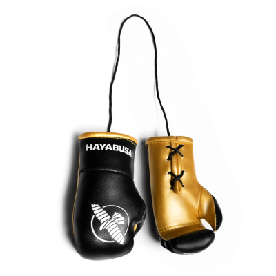 Hayabusa Mini Boxing Gloves - Image 1