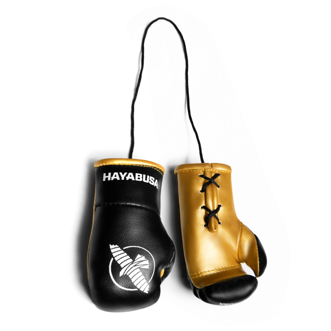 Hayabusa Mini Boxing Gloves