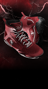 Boxing Shoes