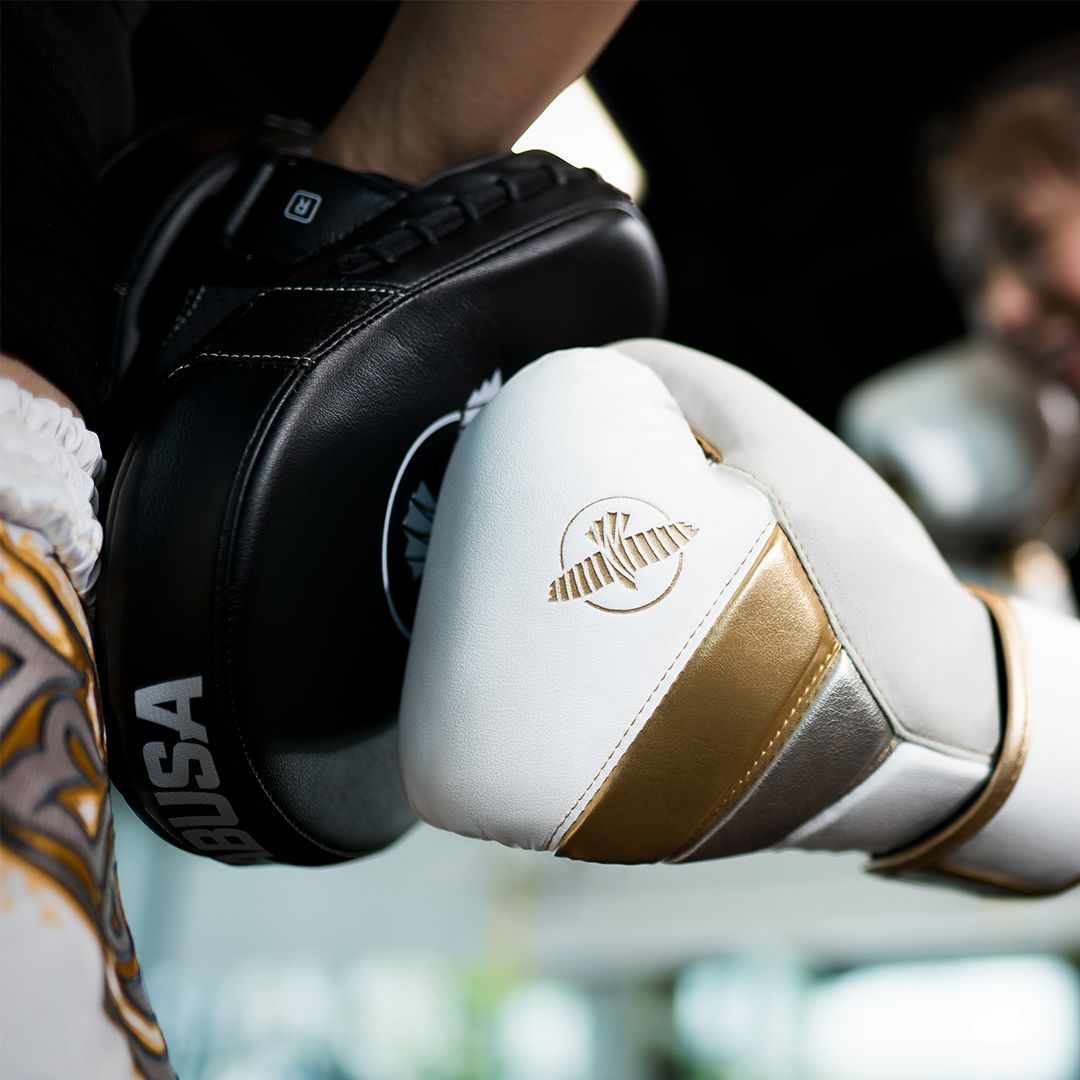 Hayabusa PTS3 Focus Mitts | Boxing Focus Mitts