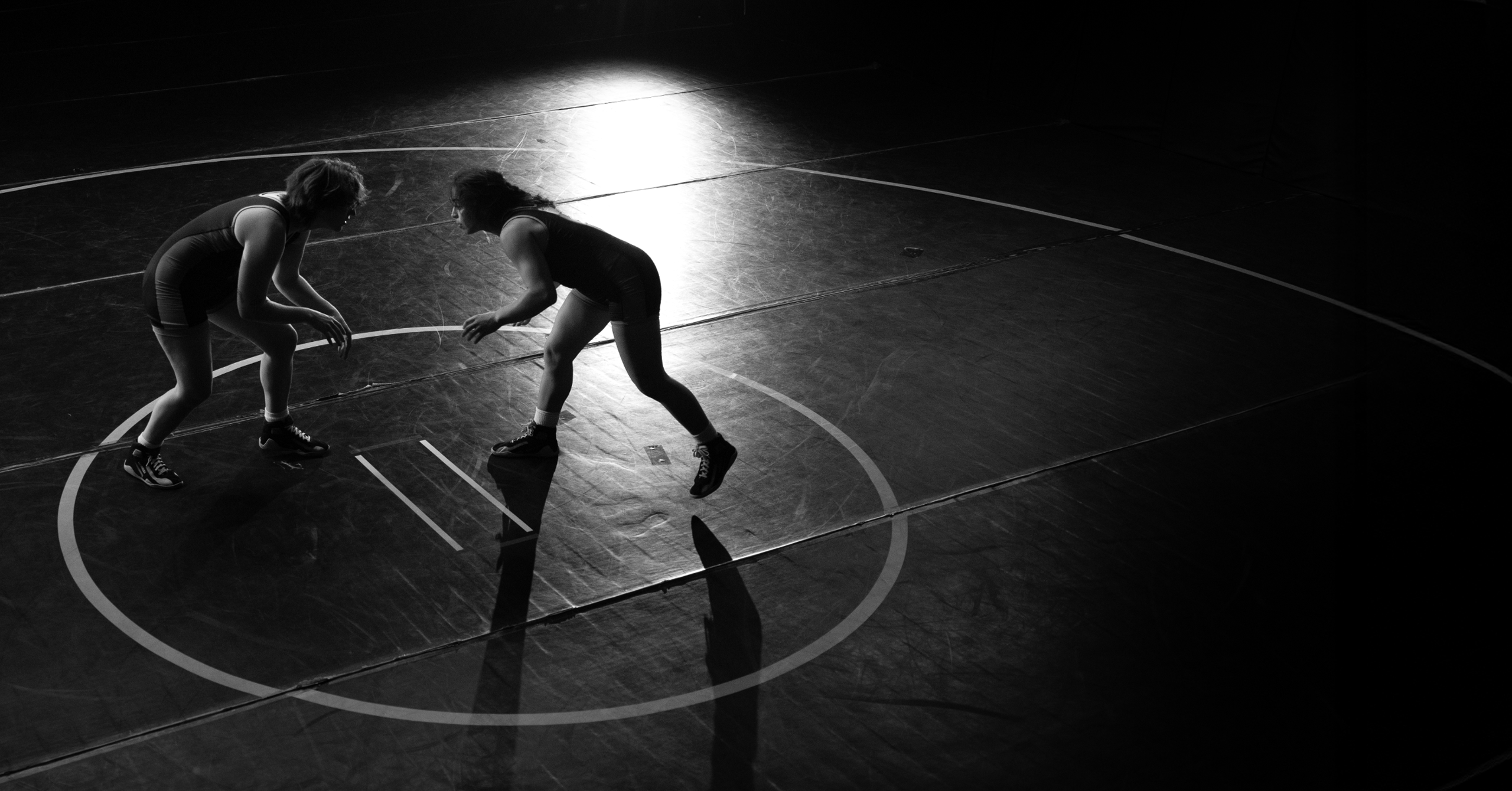 Hayabusa Wrestling