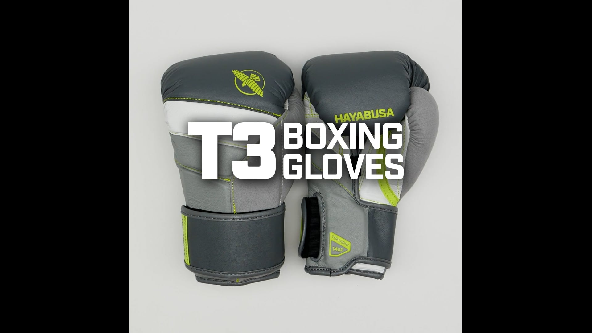 Hayabusa T3 Boxing Gloves | The Best Boxing Gloves