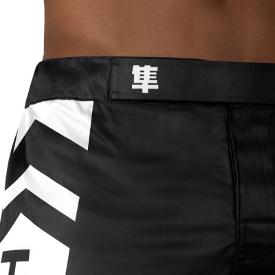 Hayabusa Icon MMA Shorts - Image 6
