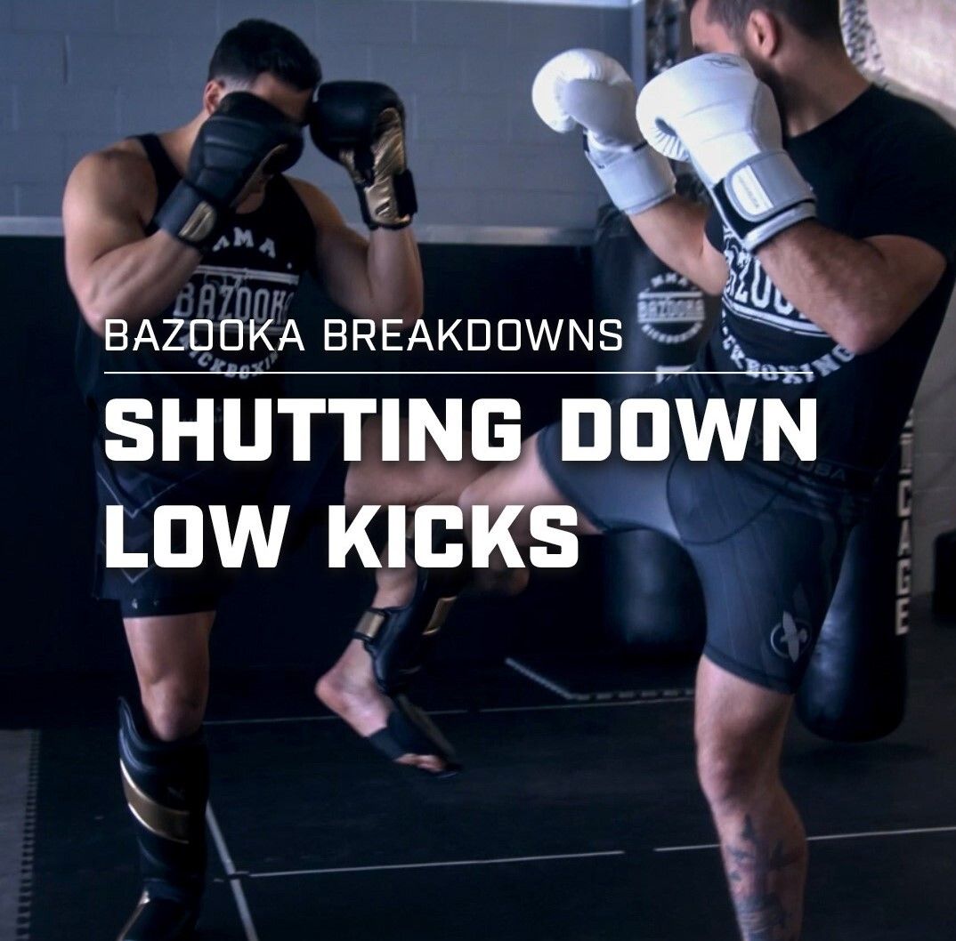 How To Shut Down Low Kicks