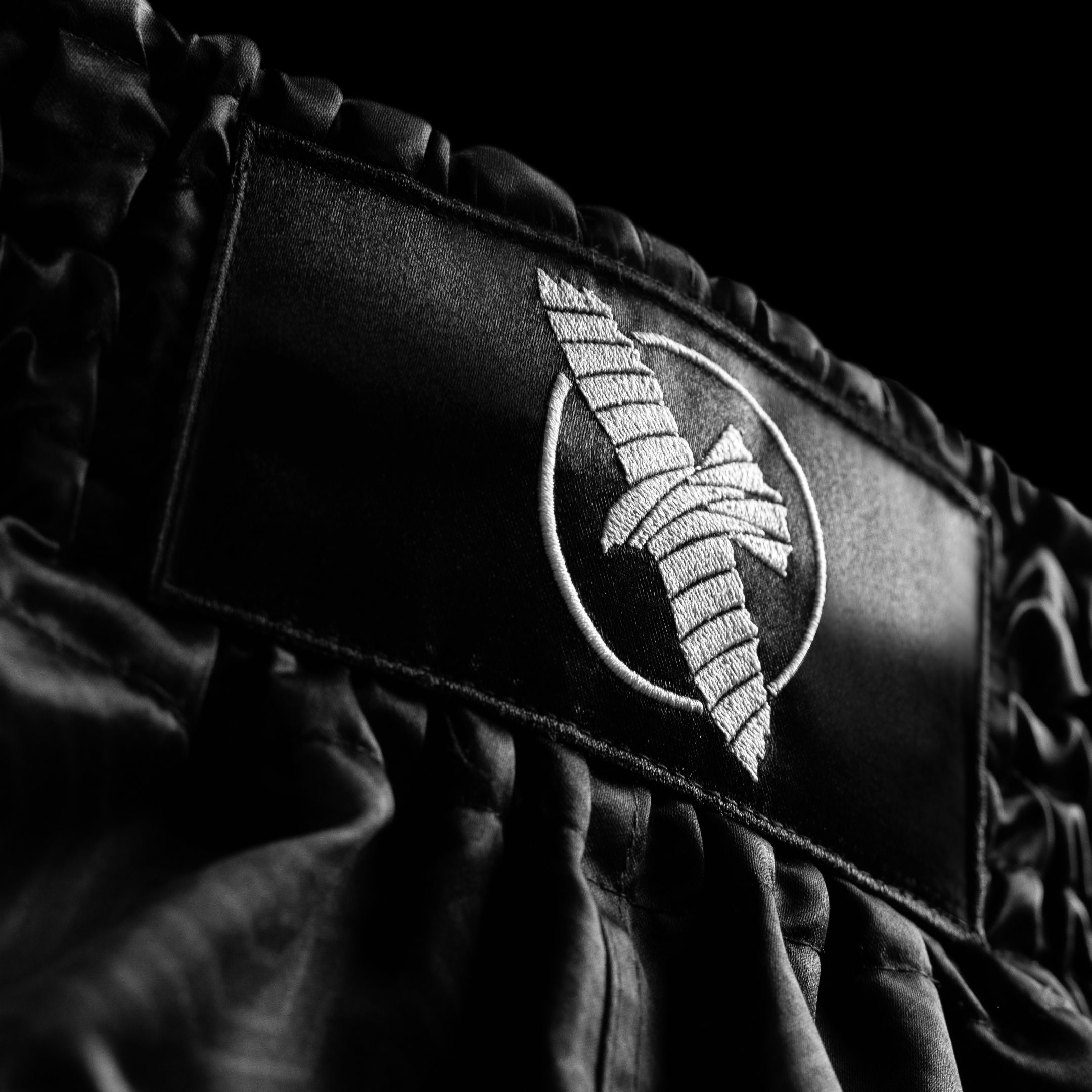 Hayabusa Core Muay Thai Shorts | Lightweight & Traditional Cut