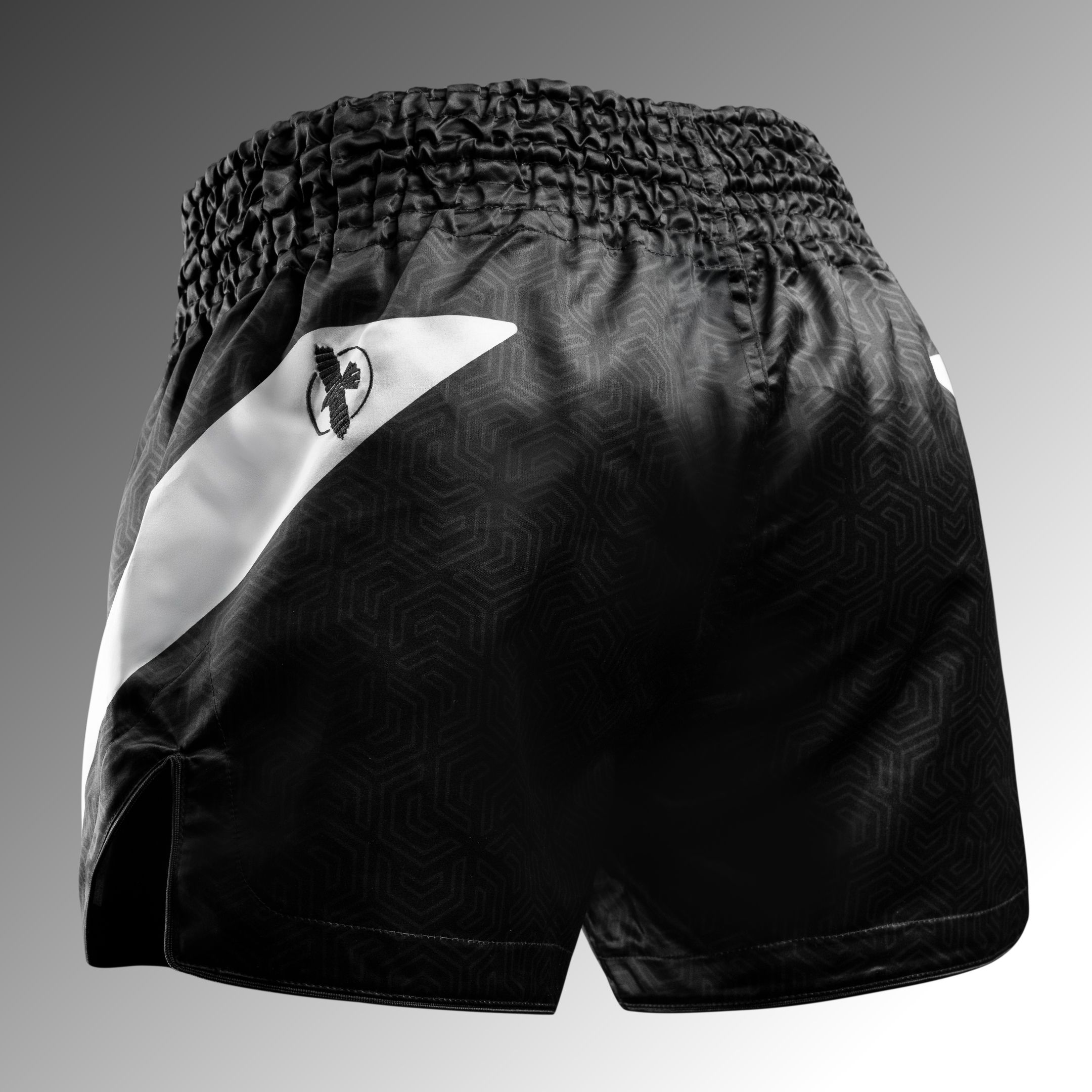 Hayabusa Core Muay Thai Shorts - Image 2