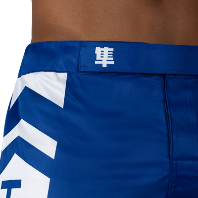 Hayabusa Icon MMA Shorts - Image 6