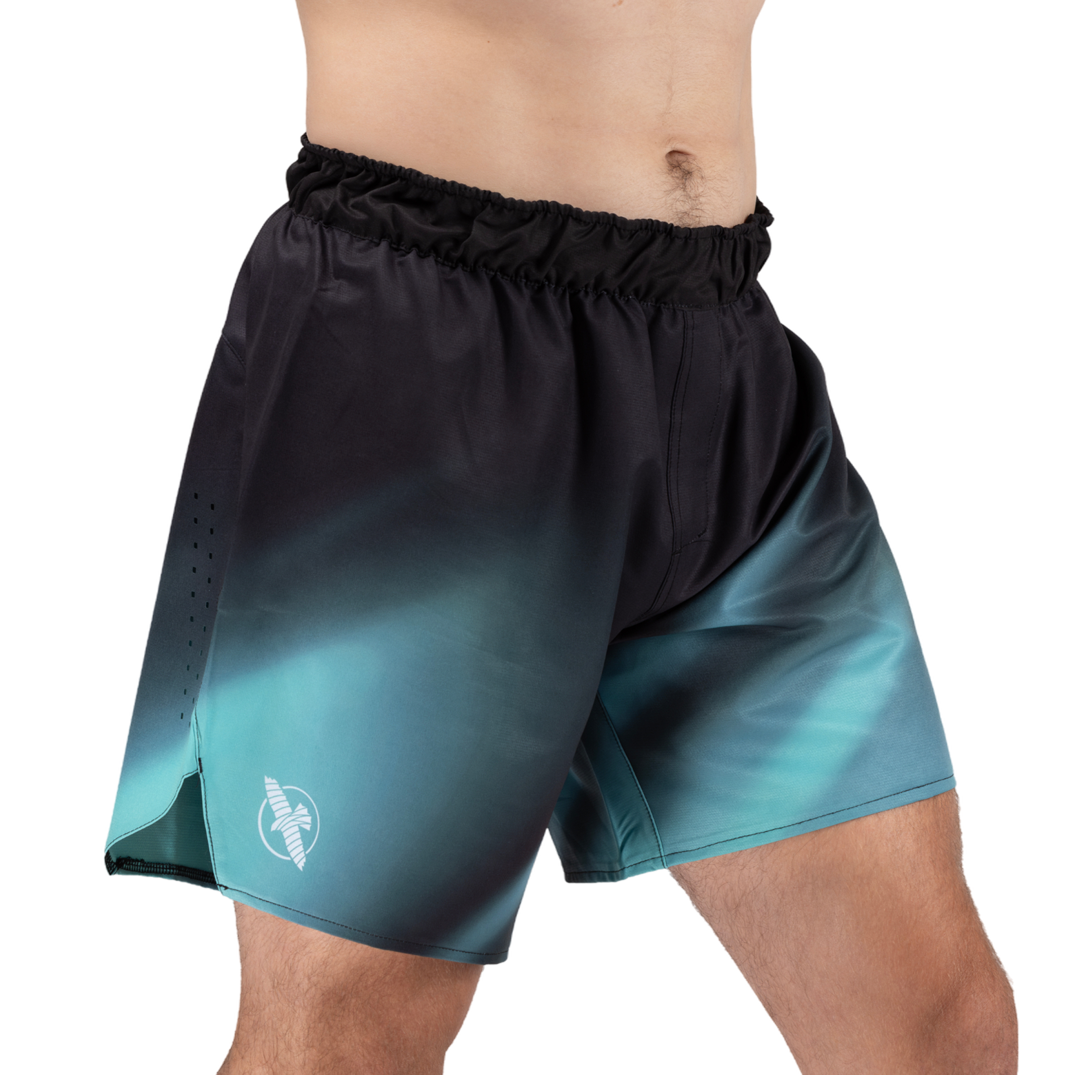 Hayabusa Men's Apex Nova Lightweight Fight Shorts