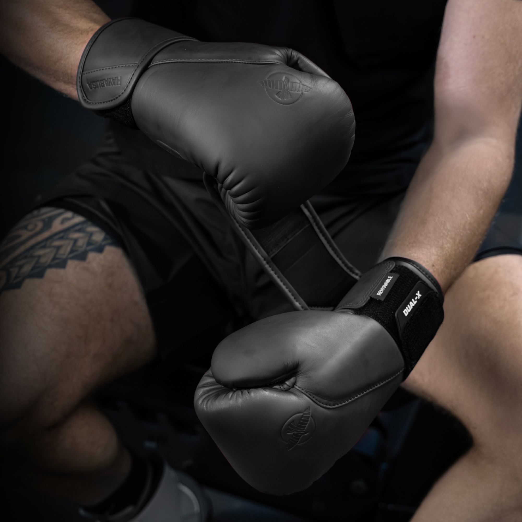Hayabusa T360 Leather Boxing Gloves