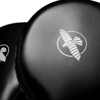 Hayabusa Boxing Target Paddles - Image 4