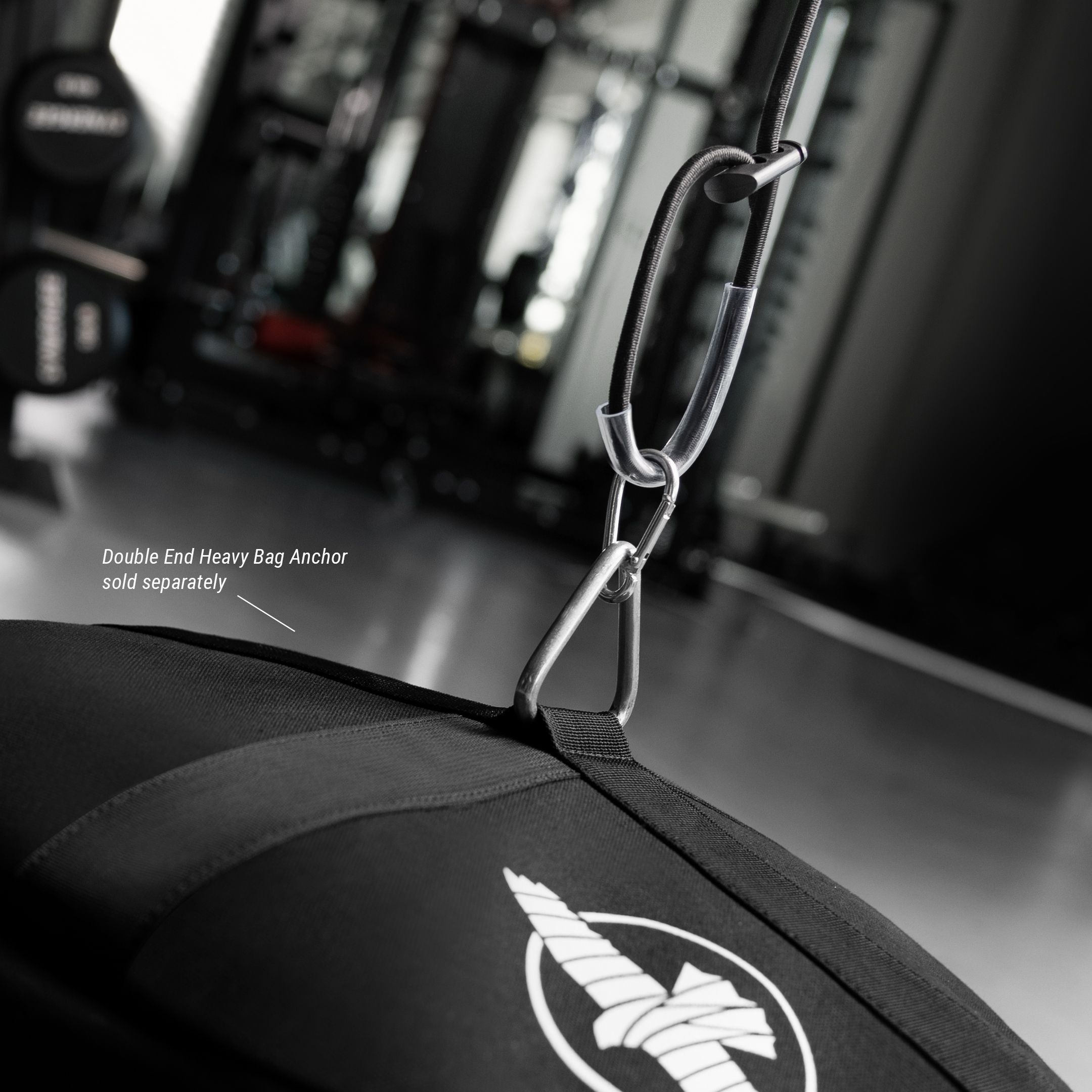 Hayabusa Double End Ball - Image 6