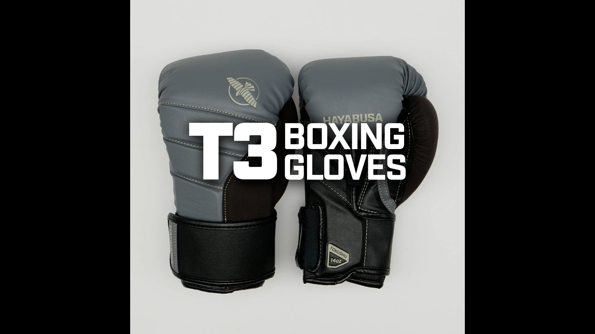 Hayabusa T3 Boxing Gloves | The Best Boxing Gloves