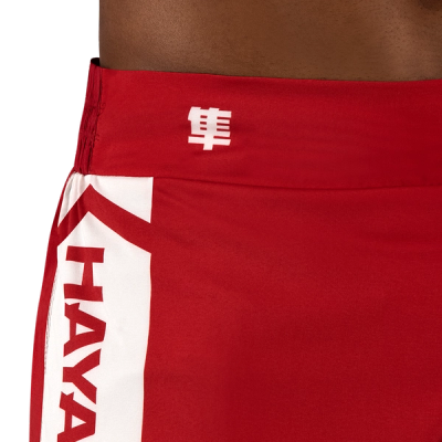 Hayabusa Icon Kickboxing Shorts - Image 6