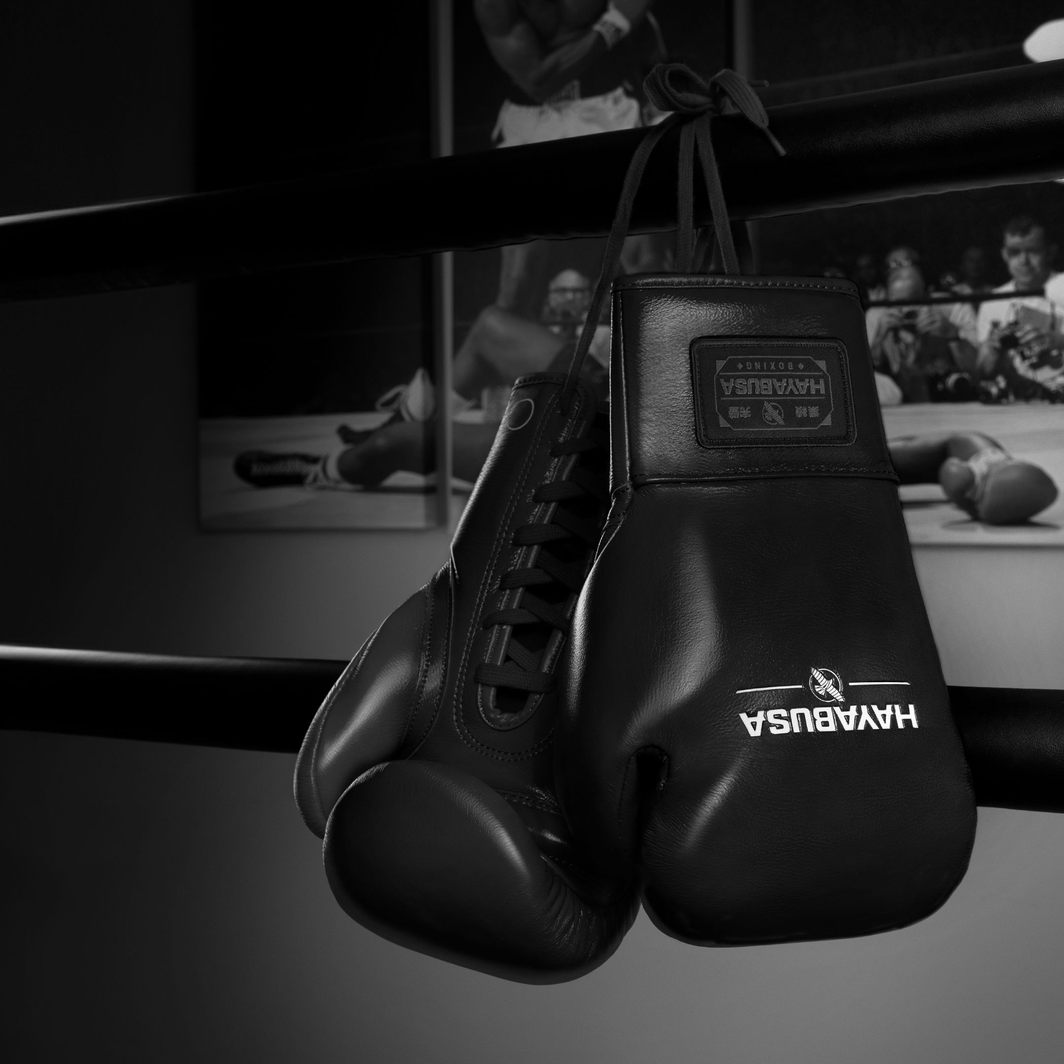 Hayabusa Pro Horsehair Fight Boxing Gloves - Image 4