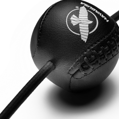 Hayabusa Double End Ball - Image 3