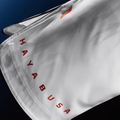 Hayabusa Men’s Apex Vantage 3/4 Thigh Fight Shorts - Image 3