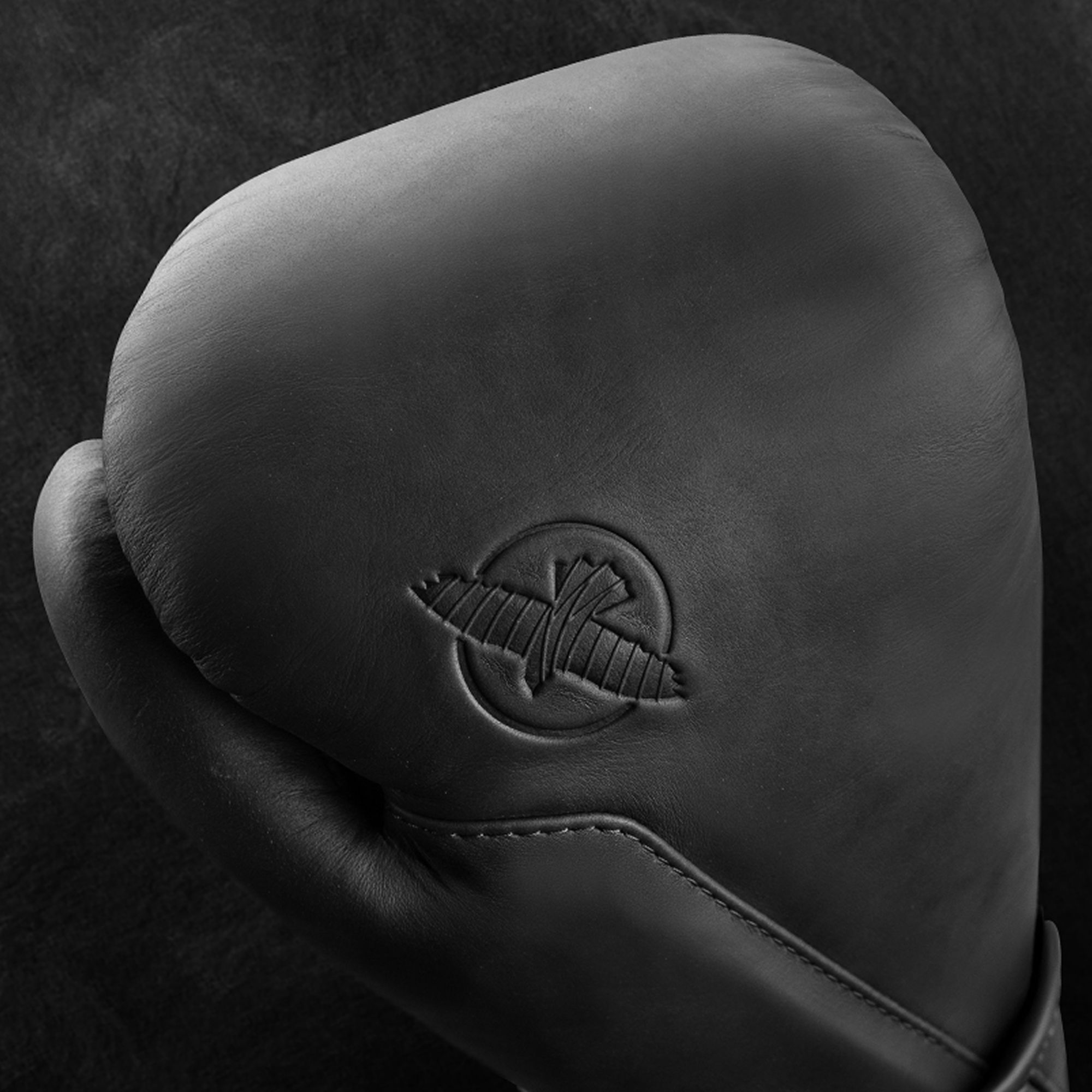 Hayabusa T360 Leather Boxing Gloves - Image 3