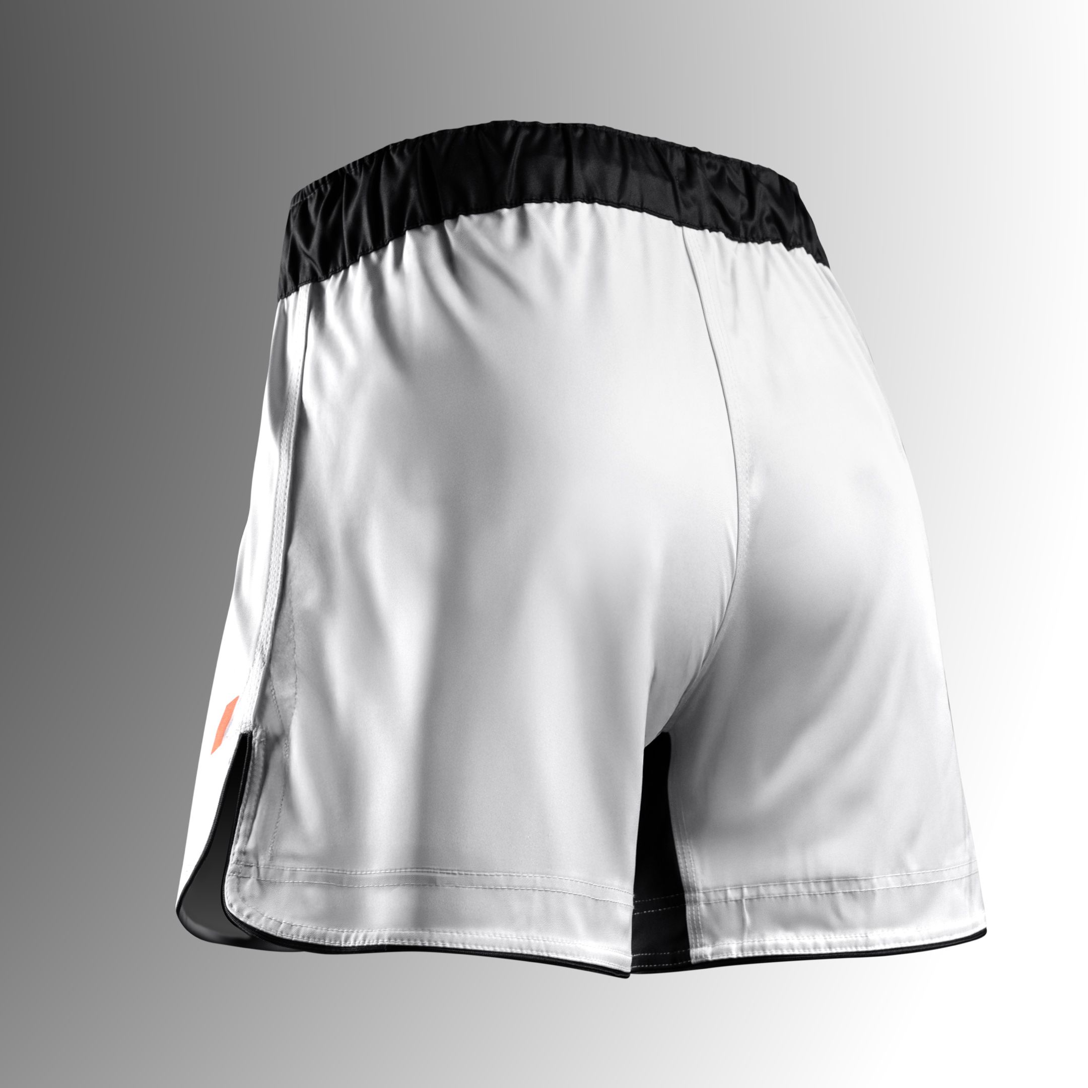 Hayabusa Men’s Apex Full-Length Fight Shorts - Image 2