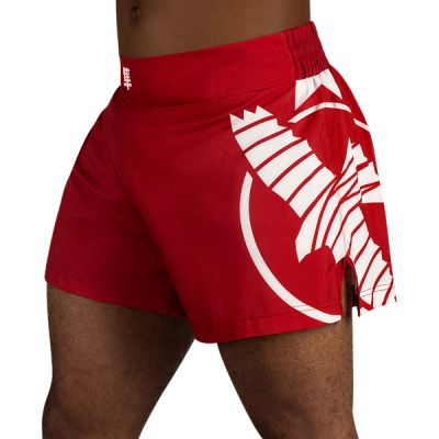 Hayabusa Icon Kickboxing Shorts