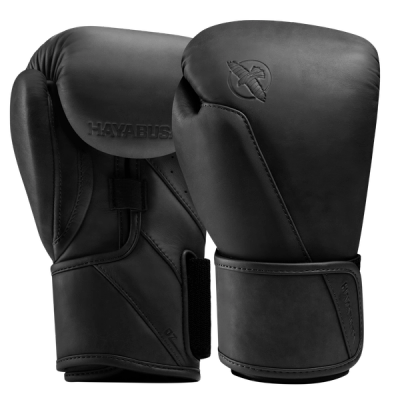 Hayabusa T360 Leather Boxing Gloves - Image 1